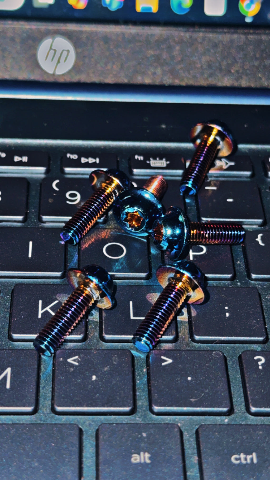 Titanium bolts for Battery Lid