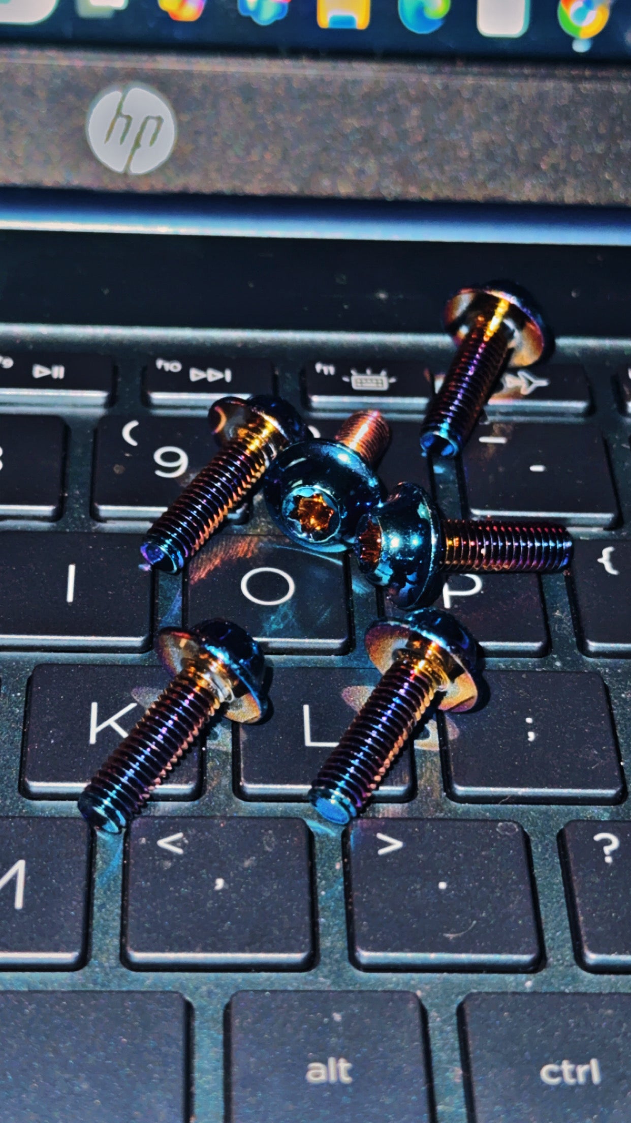 Titanium bolts for Battery Lid