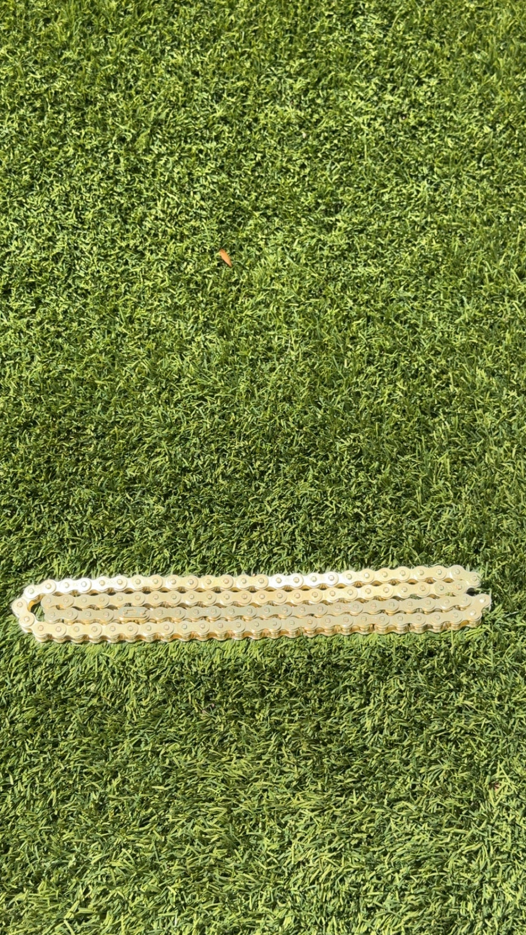 Upgraded Gold Tuttio Chain